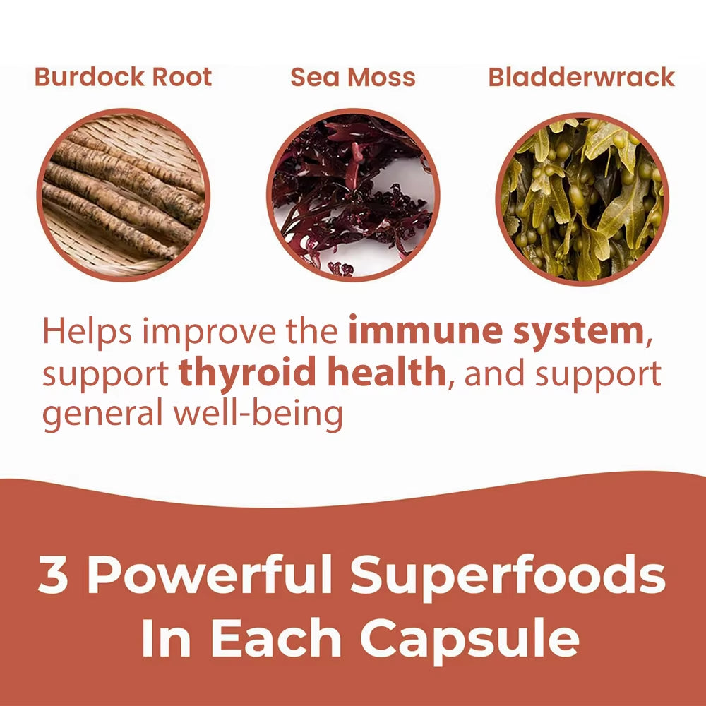 Sea Moss Advanced - High-Potency Vegan Superfood with Bladderwrack and Burdock Root,Overall Health and Immunity Support