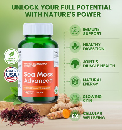 Fixagen Sea Moss Advanced
